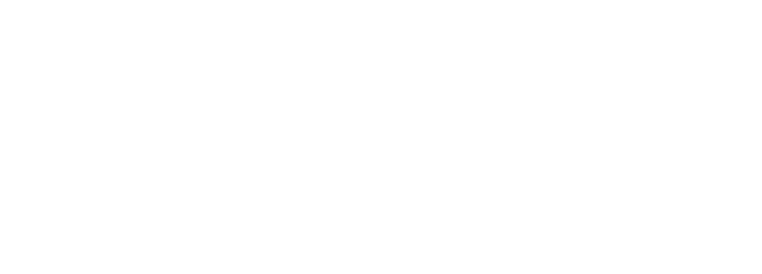 Magic Rocks® – Starring Illusionist Leon Etienne